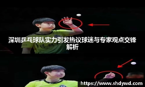 深圳乒乓球队实力引发热议球迷与专家观点交锋解析